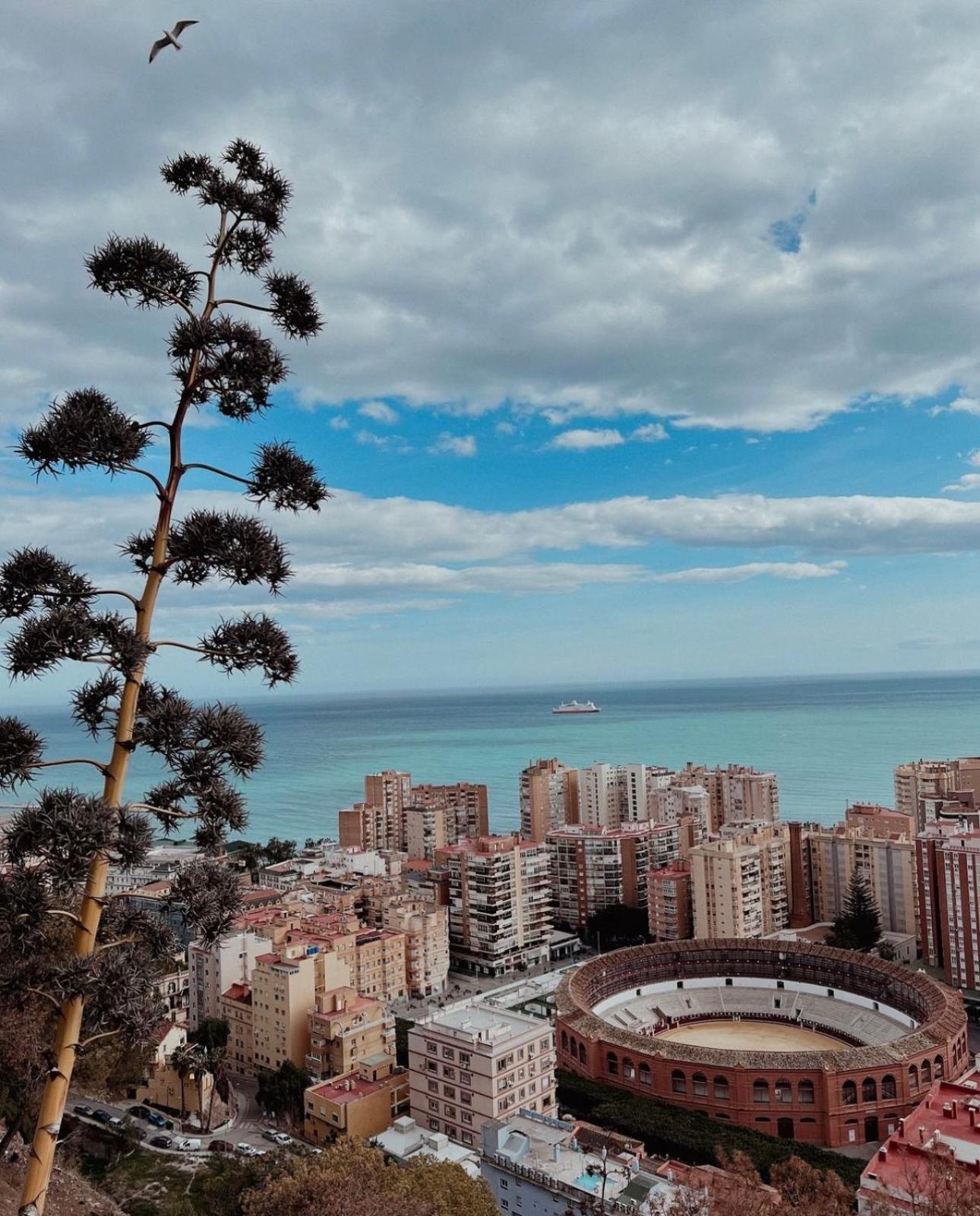 Welcome Home Málaga Eksteriør bilde